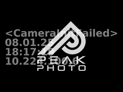 testphotofailed