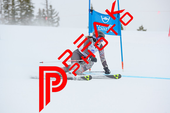 WP_5918