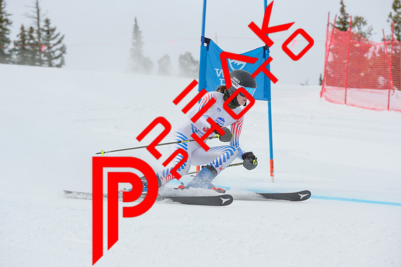 WP_6108