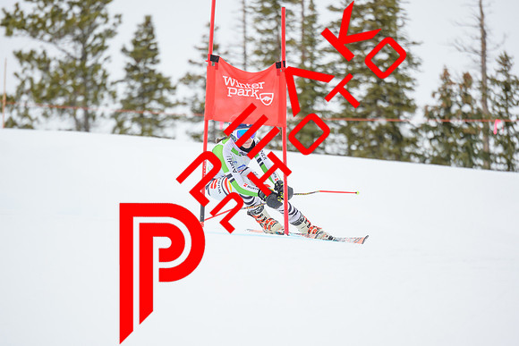 WP_6029